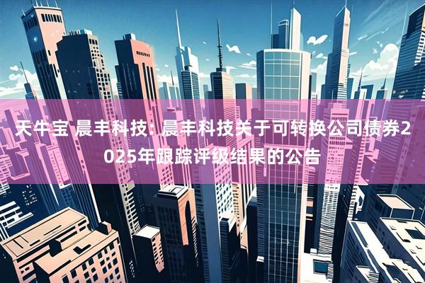 天牛宝 晨丰科技: 晨丰科技关于可转换公司债券2025年跟踪评级结果的公告