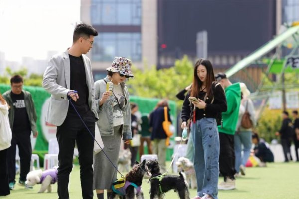 龙信金融 复杂多元商住楼变美好善治“大家庭”，来看普陀的他们如何做→